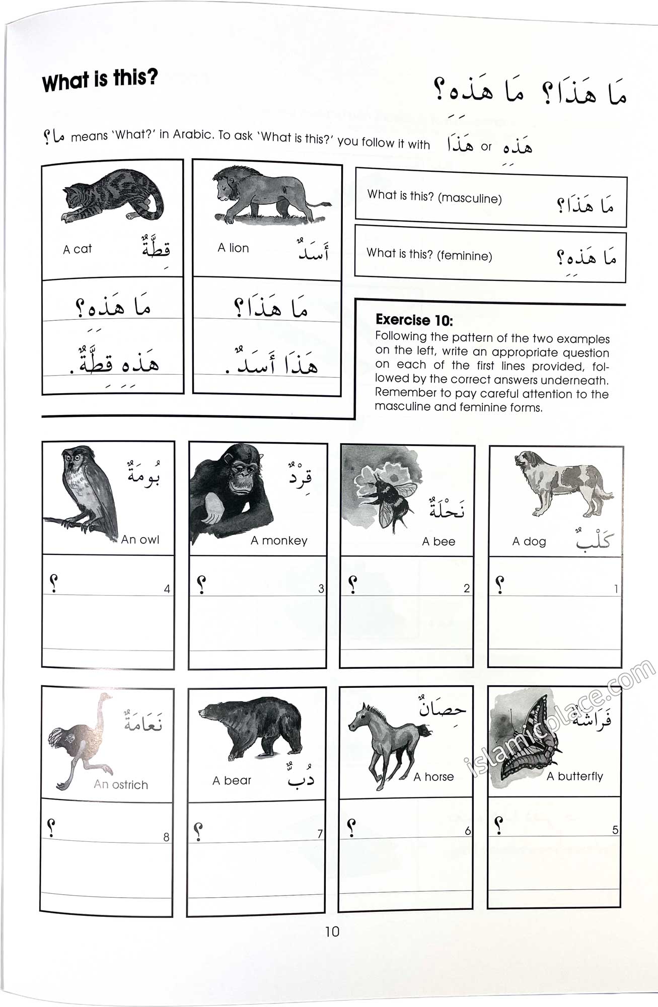 Gateway to Arabic Book 2