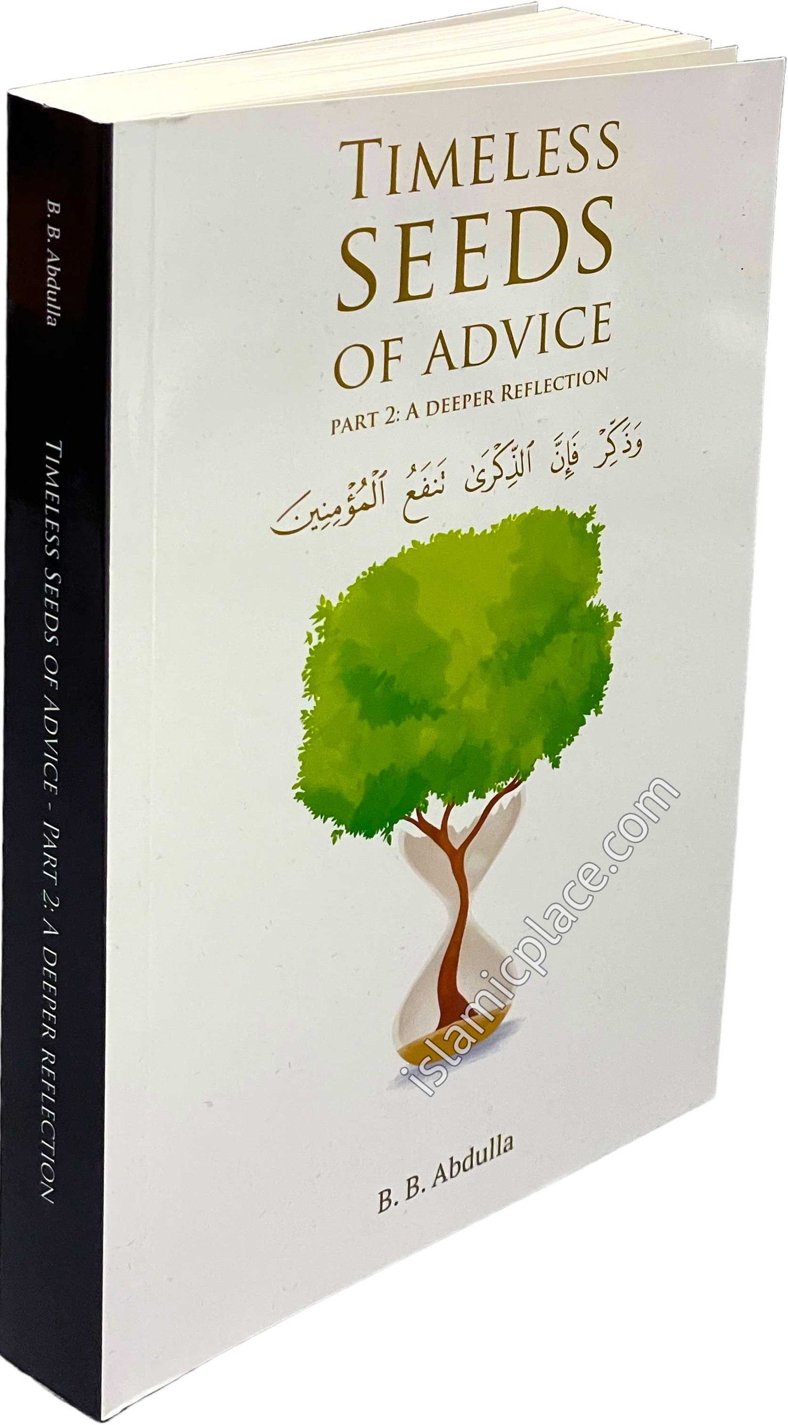 Timeless Seeds of Advice Part 2: A Deeper Reflection