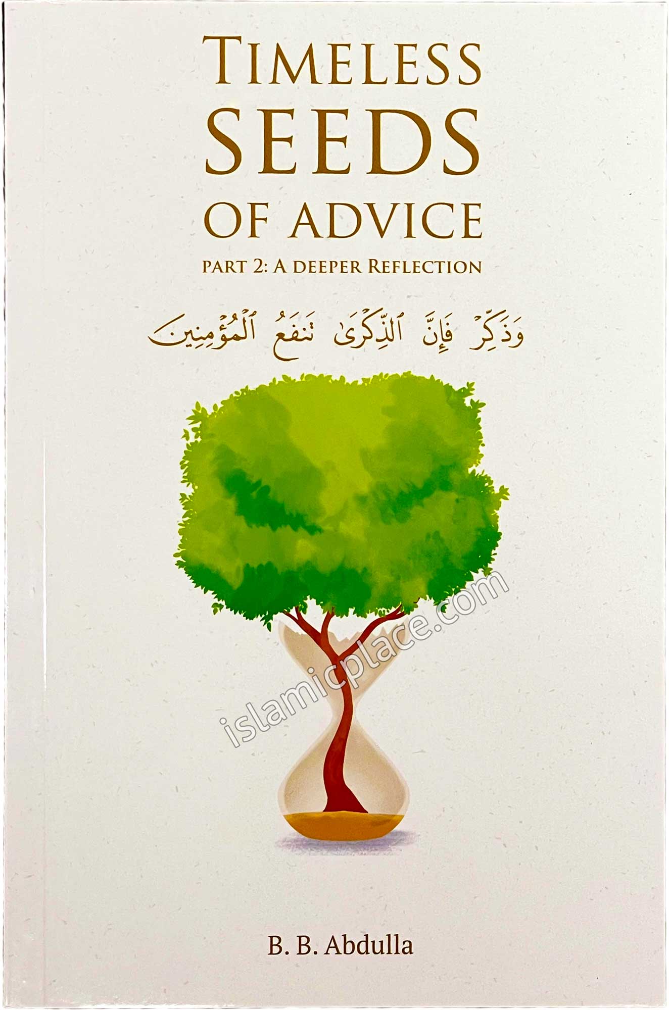 Timeless Seeds of Advice Part 2: A Deeper Reflection