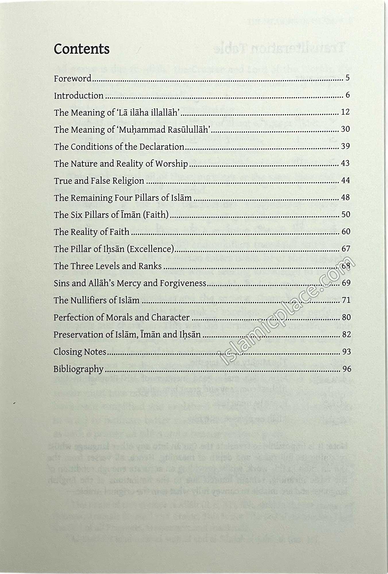 The Meaning of Islam - A Brief Explanation of the Most Important Principles and Teachings