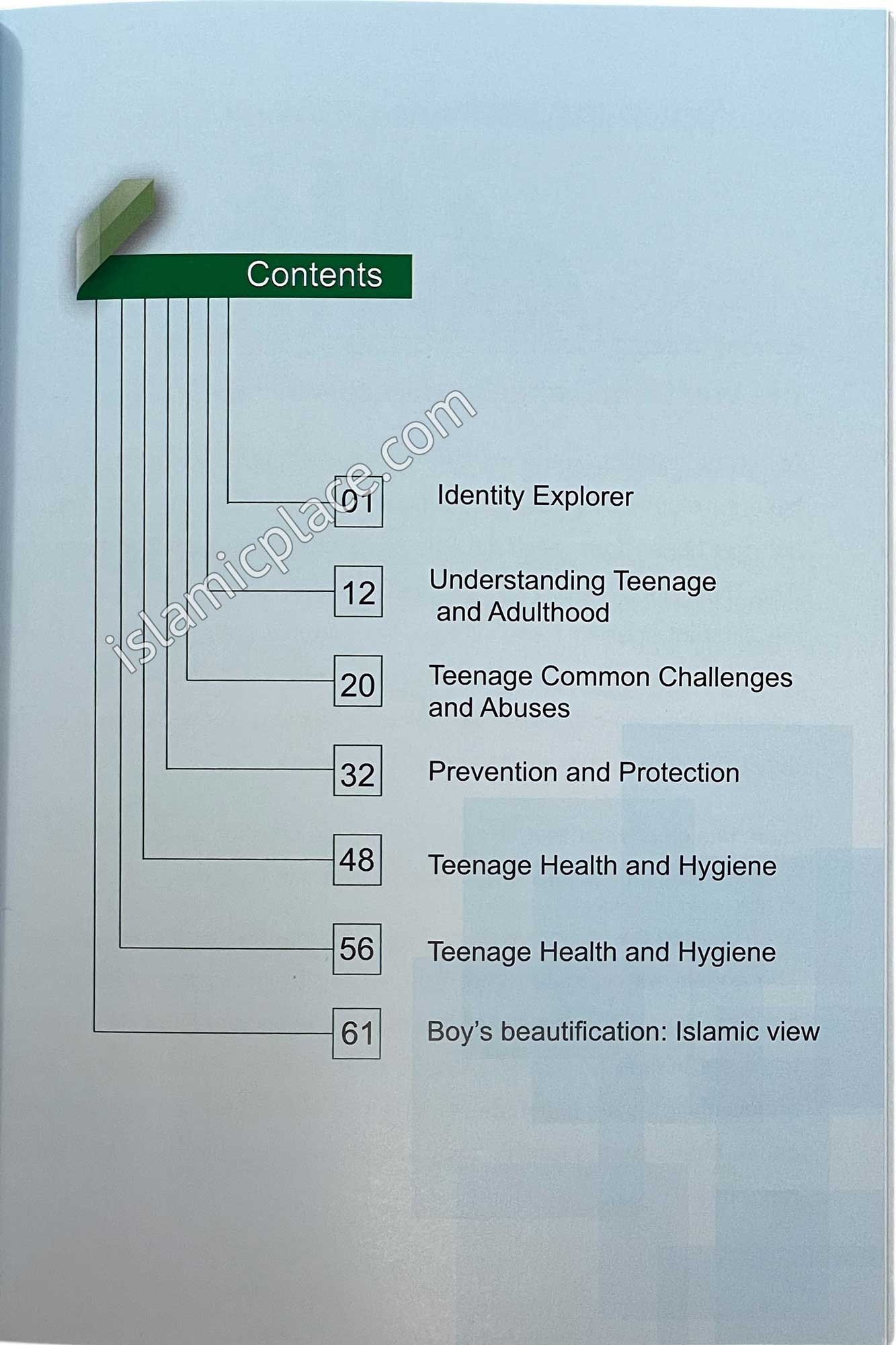 The Handbook of Muslim Teenagers - Boys edition