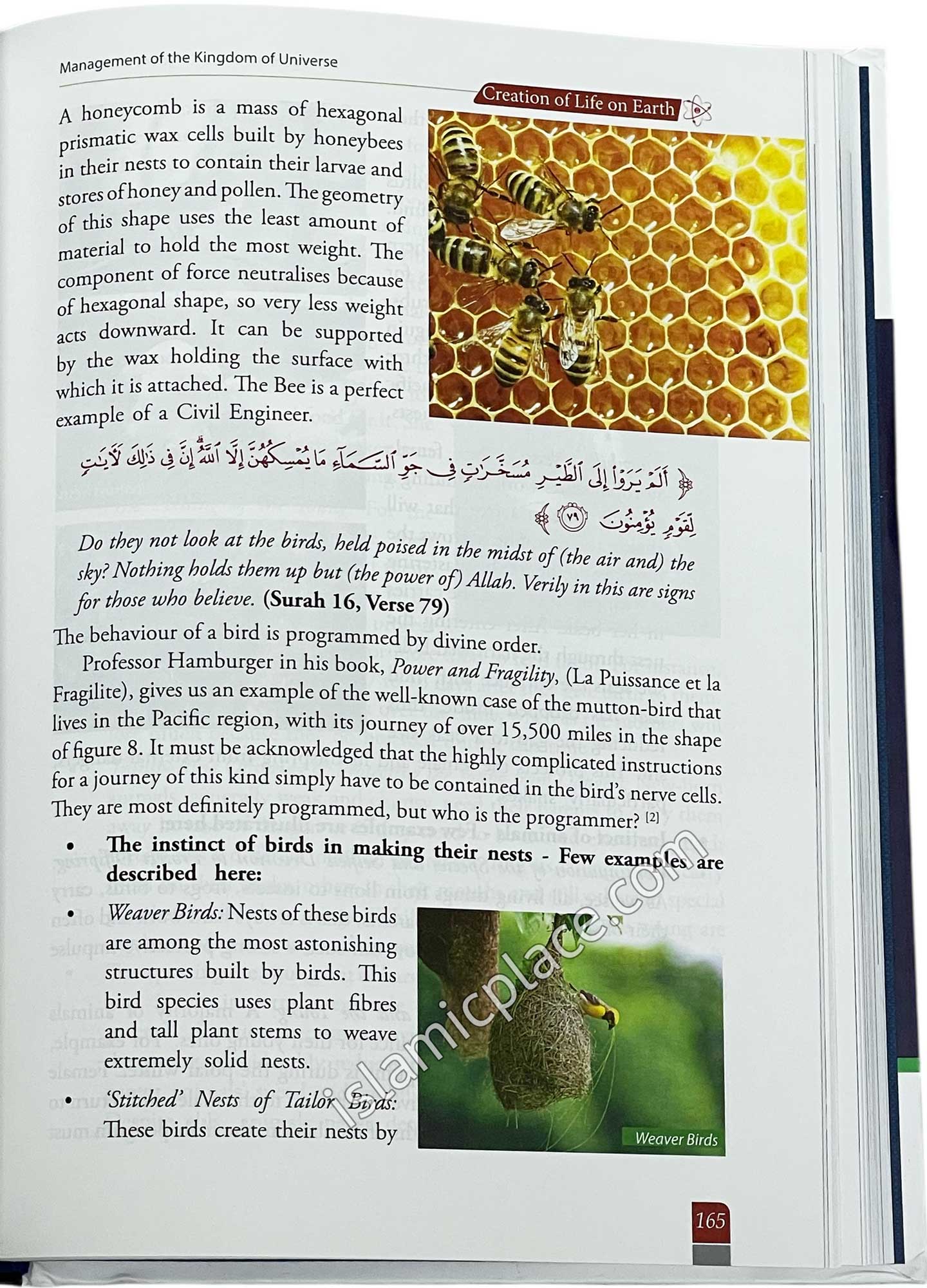 Management of the Kingdom of Universe - Quranic Perspective