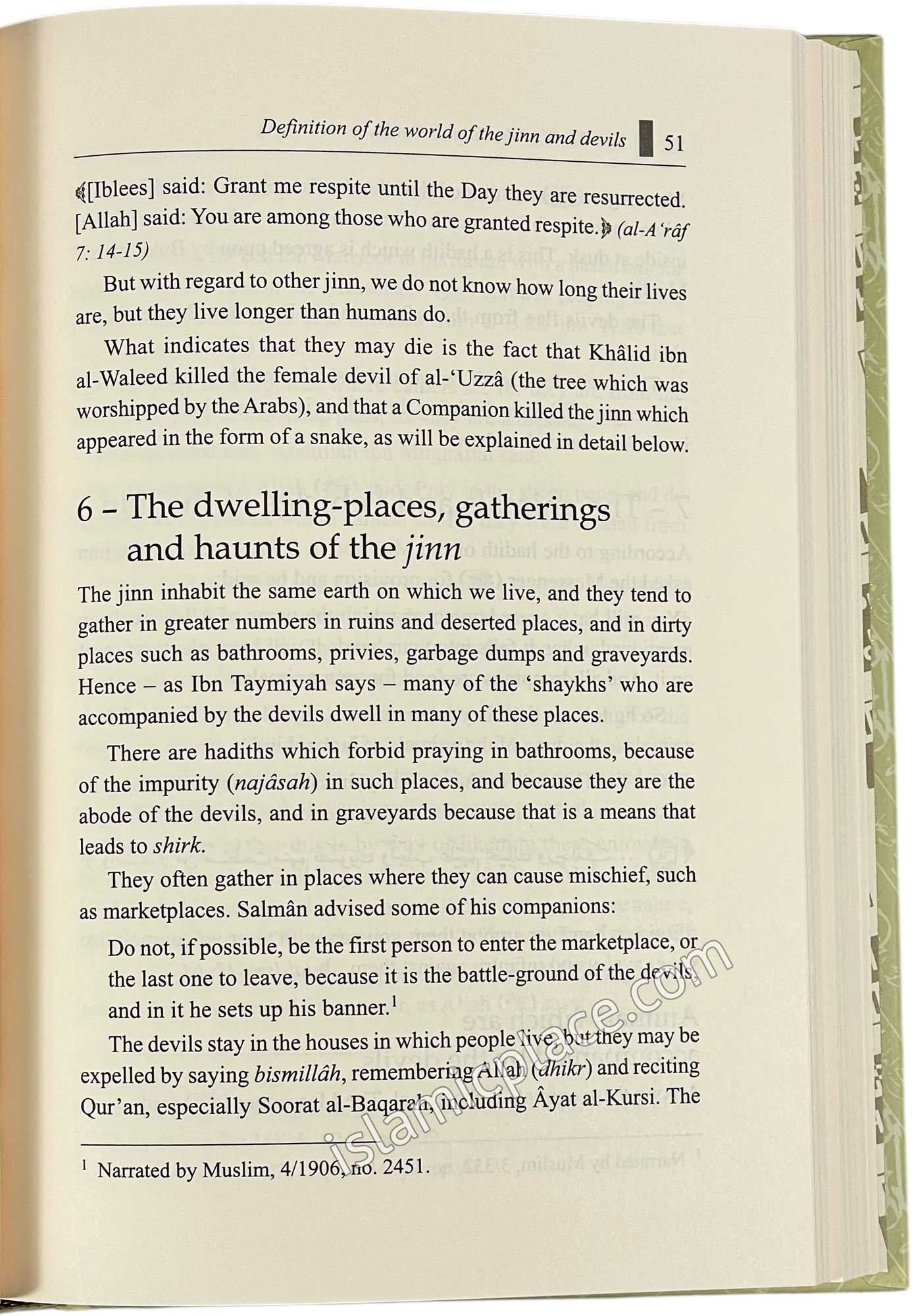 Islamic Creed Series - vol 3 (The World of the Jinn & Devils)