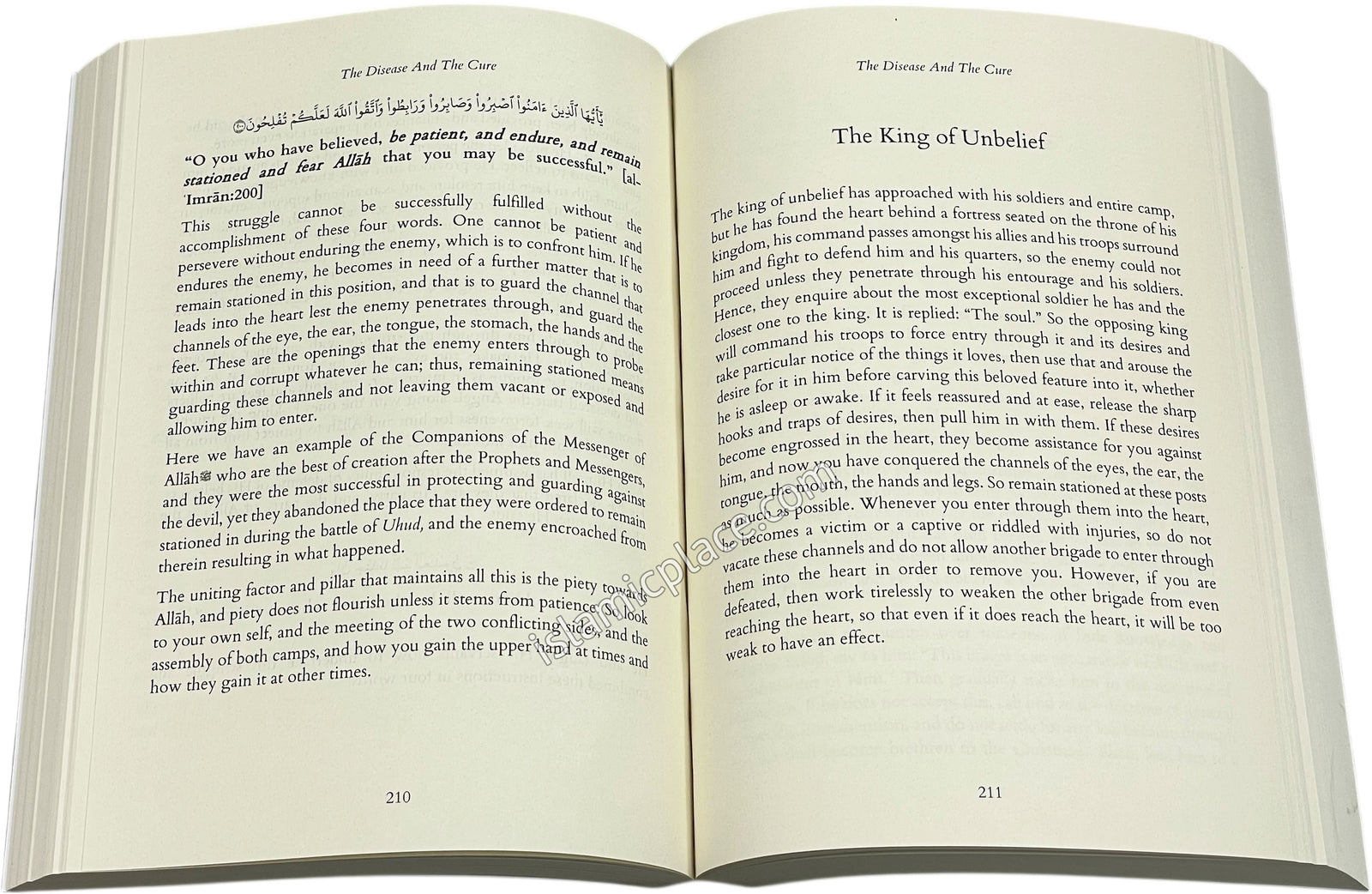 The Disease and The Cure Also Known as The Sufficient Answer for the One Who Asked About the Remedial Cure