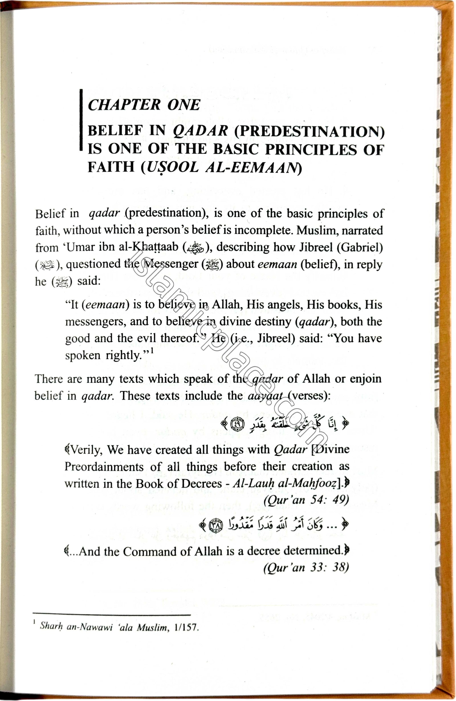 Divine Will and Predestination - Islamic Creed Series