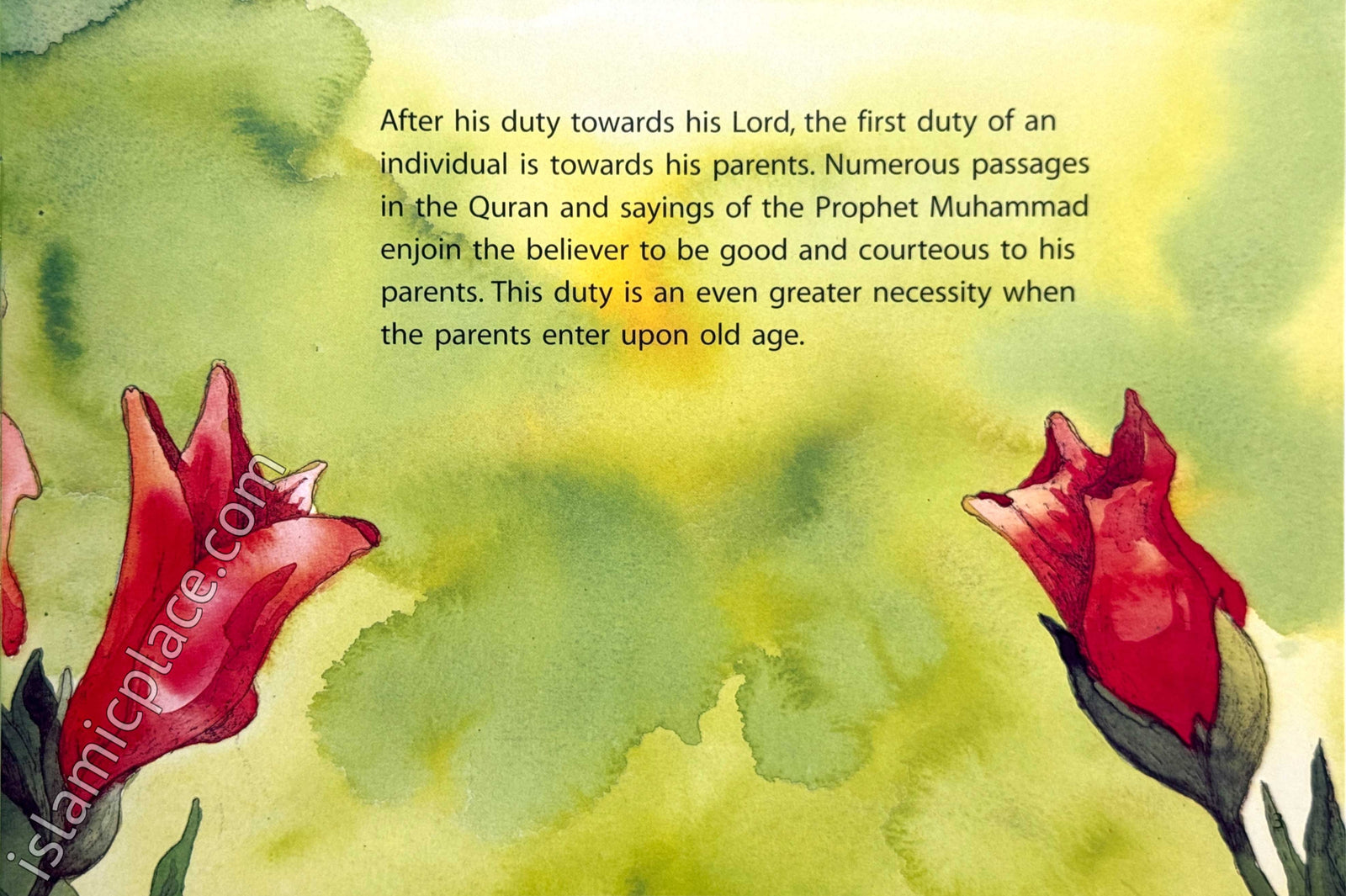 Love Your Parents - Quran Stories for Little Hearts