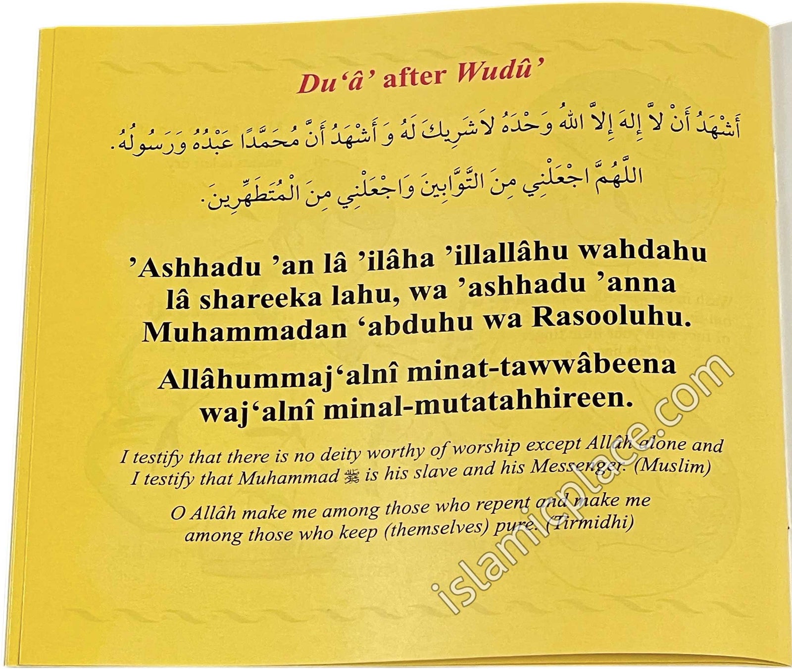 My Wudu Book  (Darussalam)