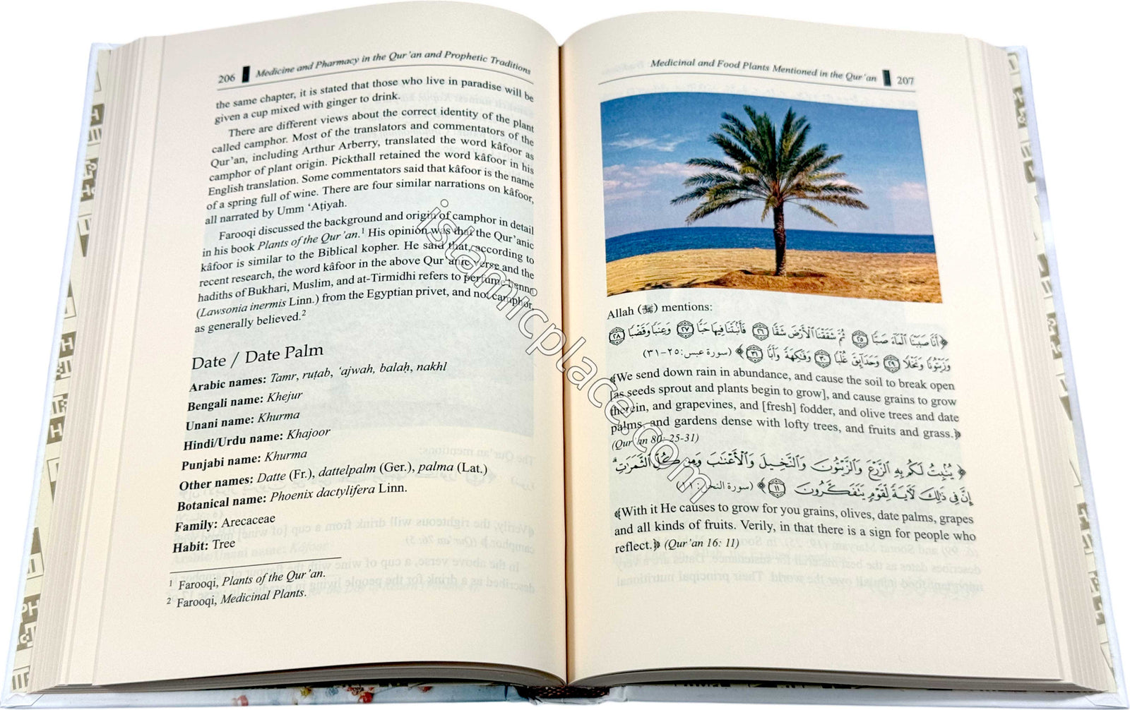 Medicine and Pharmacy in the Quran and Prophetic Traditions - The Prophet's guidance on healing examined in the light of modern science and pharmacy