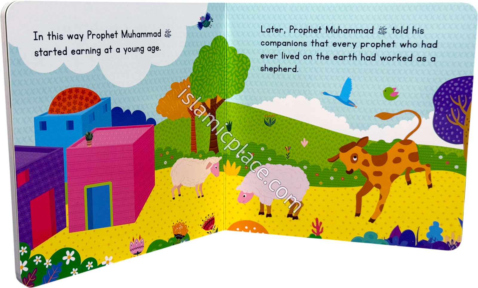 Prophet Muhammad's Early Life - Board Book
