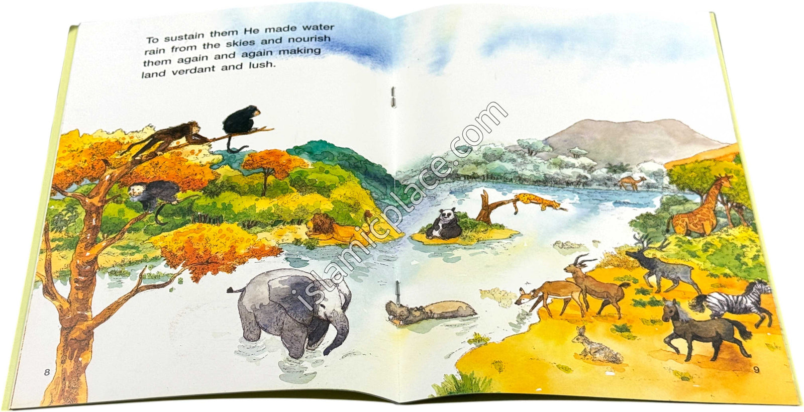 Allah Created the Universe - Timeless Quran Stories