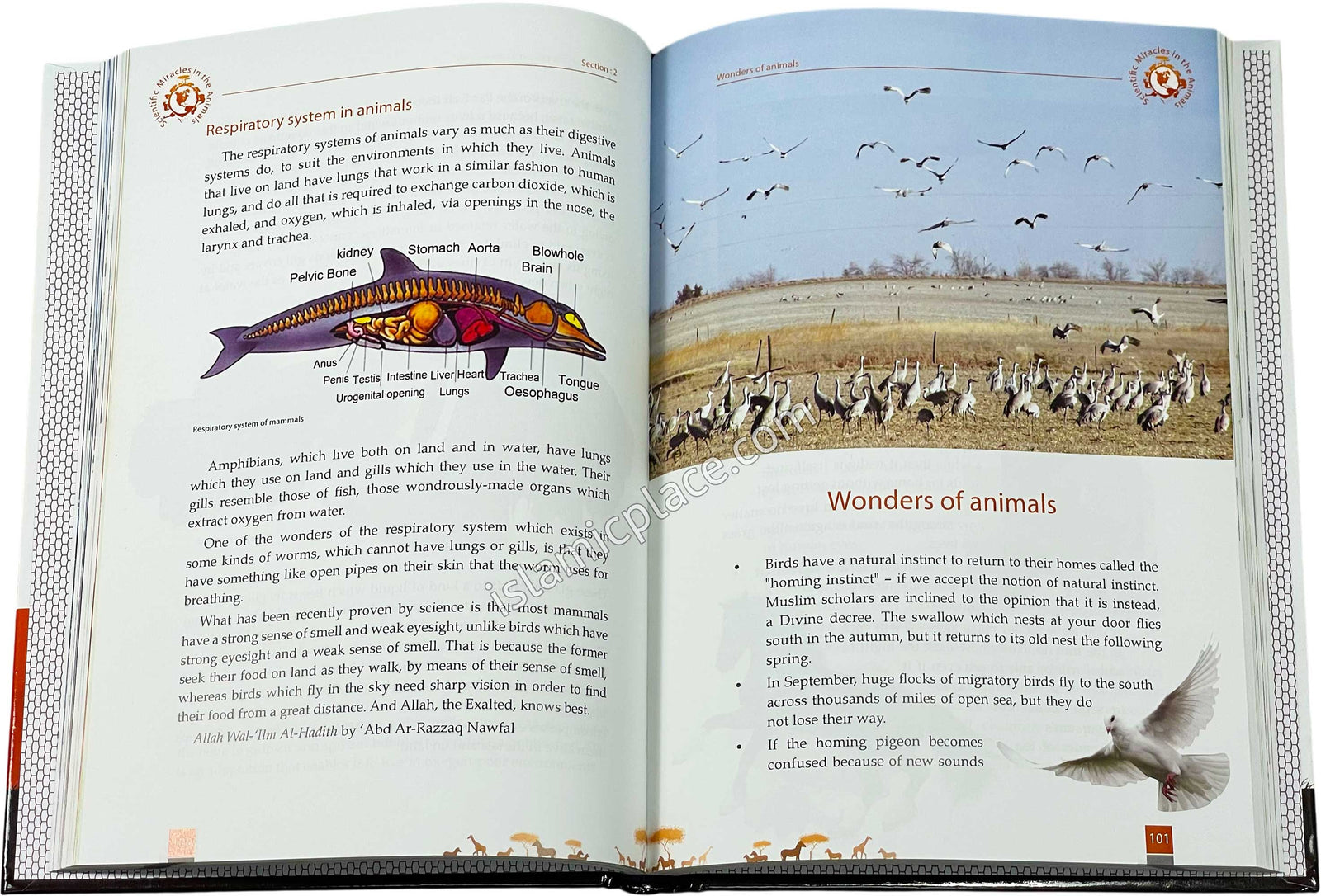 Scientific Miracles in Oceans and Animals