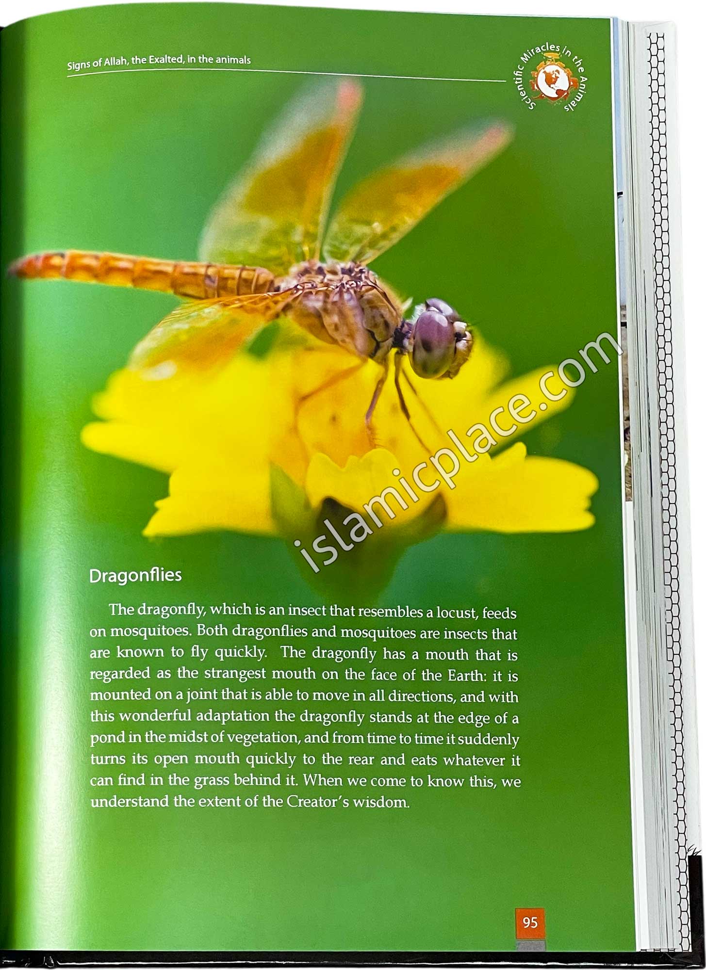 Scientific Miracles in Oceans and Animals