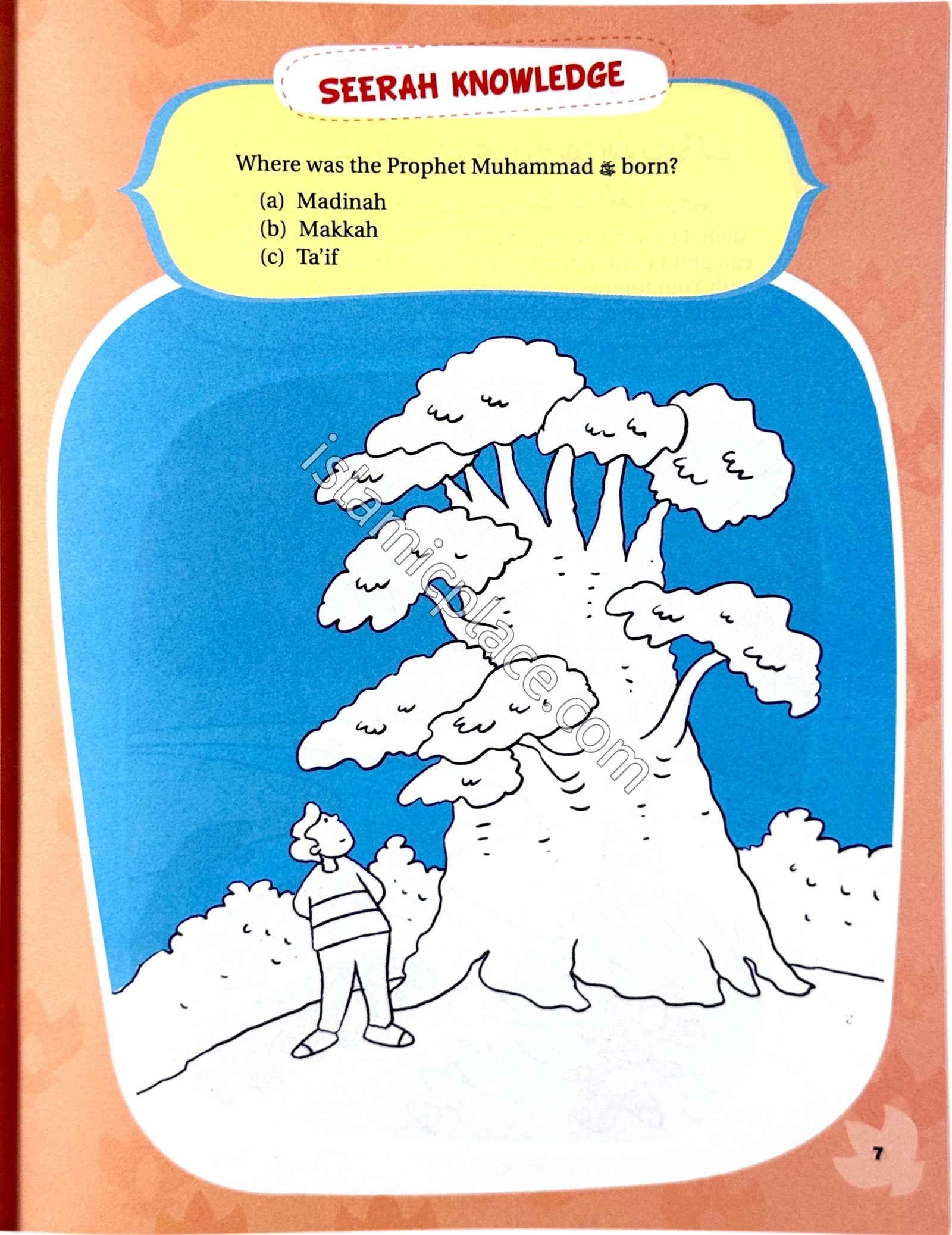 Seerah Activity Book for Kids