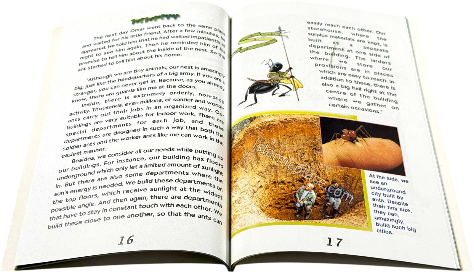 The Ants - The World of Our Little Friends