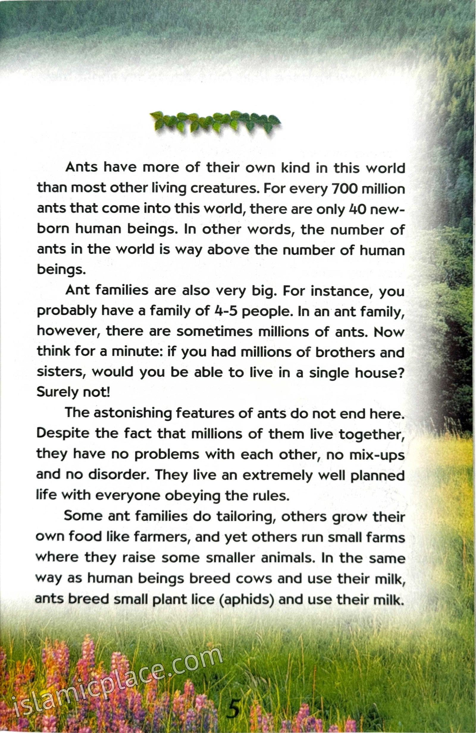 The Ants - The World of Our Little Friends