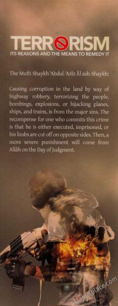 Terrorism - Its Reasons and the Means to Remedy It