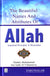 The Beautiful Names and Attributes of Allah - Important Principles to Remember