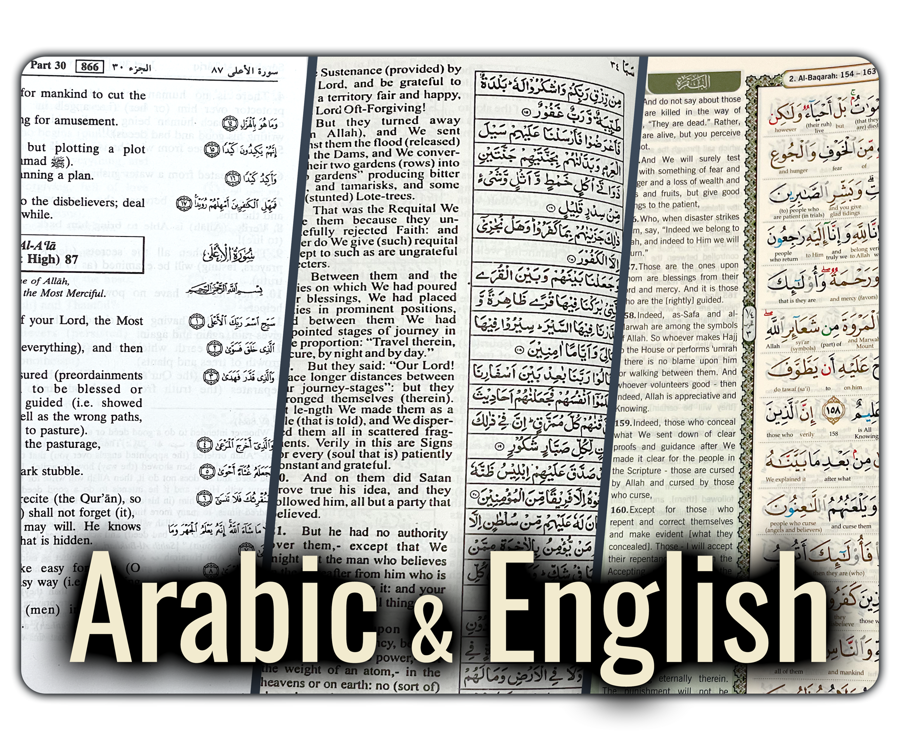 Quran in Arabic & English