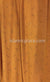 Pumpkin Spice with Golden Stones in Design 136 - Jersey Shayla Long Rectangle Hijab 30"x70"