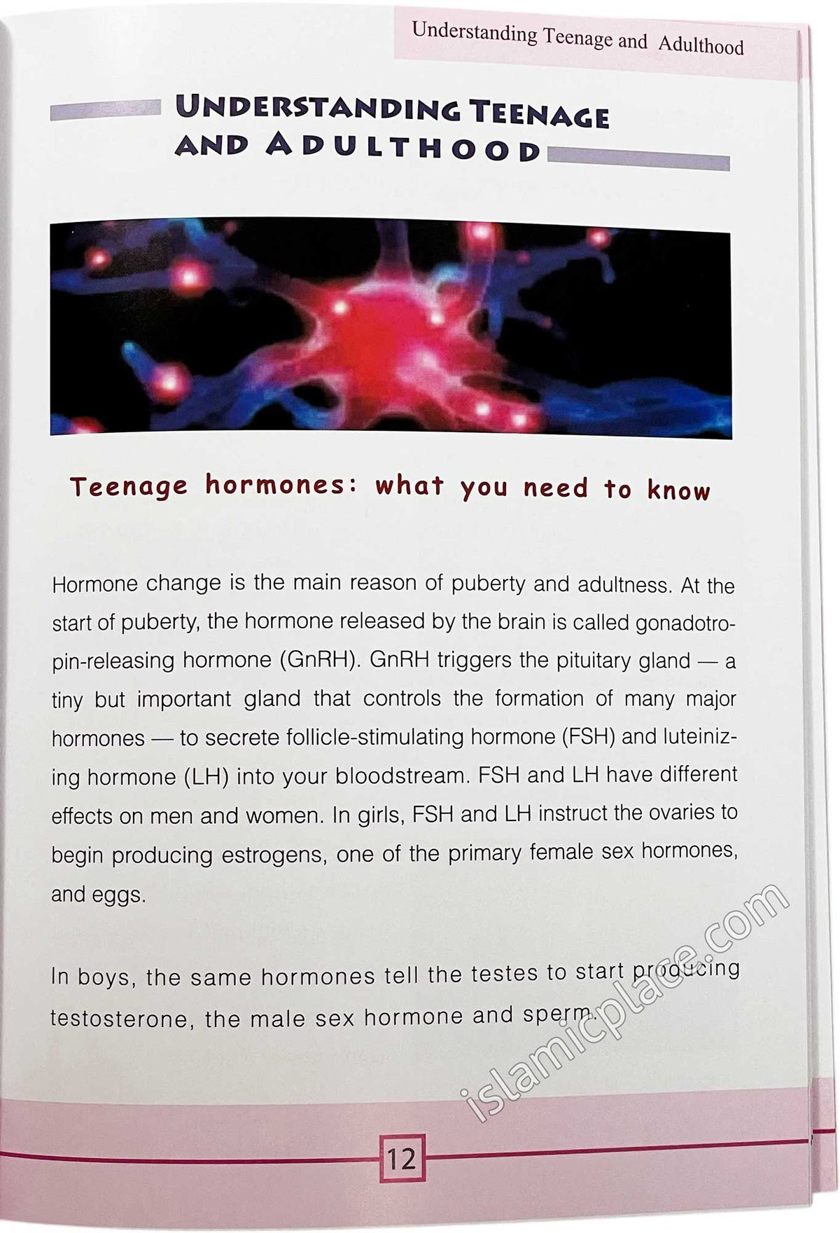 The Handbook of Muslim Teenagers - Girls edition