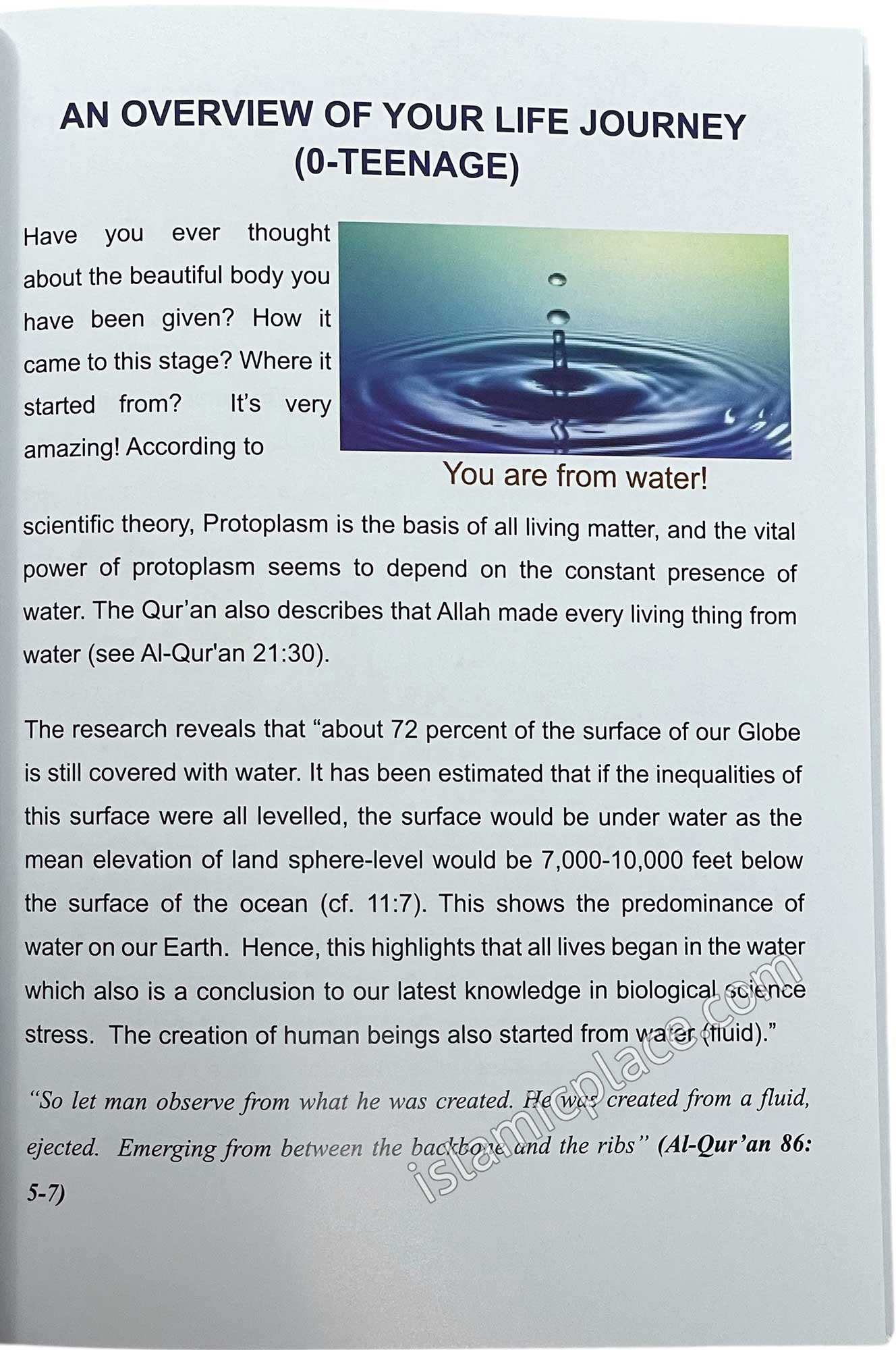 The Handbook of Muslim Teenagers - Boys edition