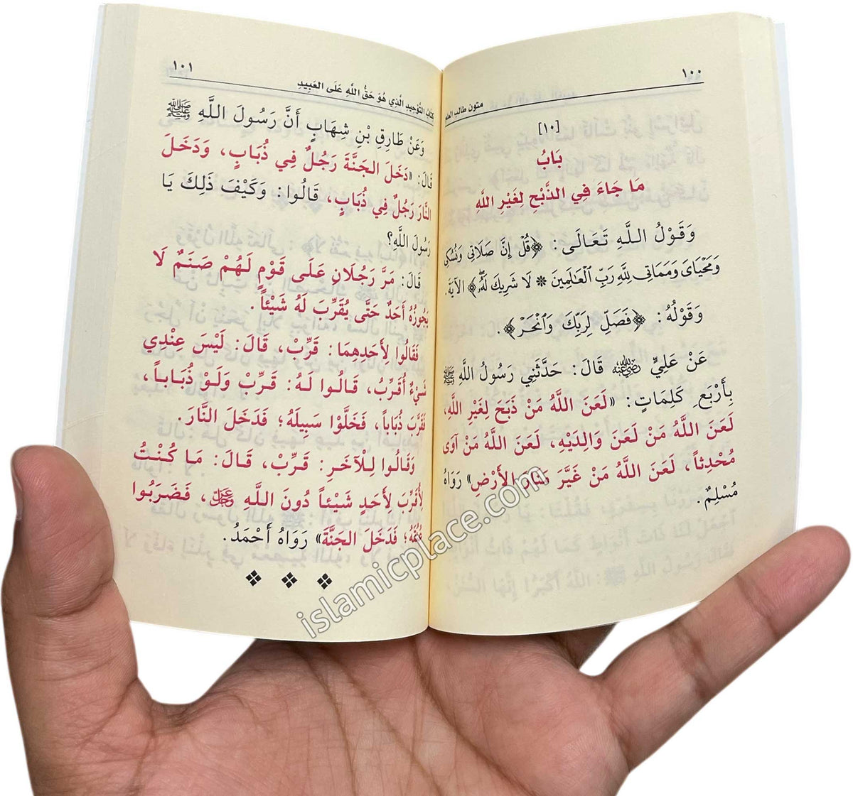 Arabic: Matoon Taalib Ilm - Level 2