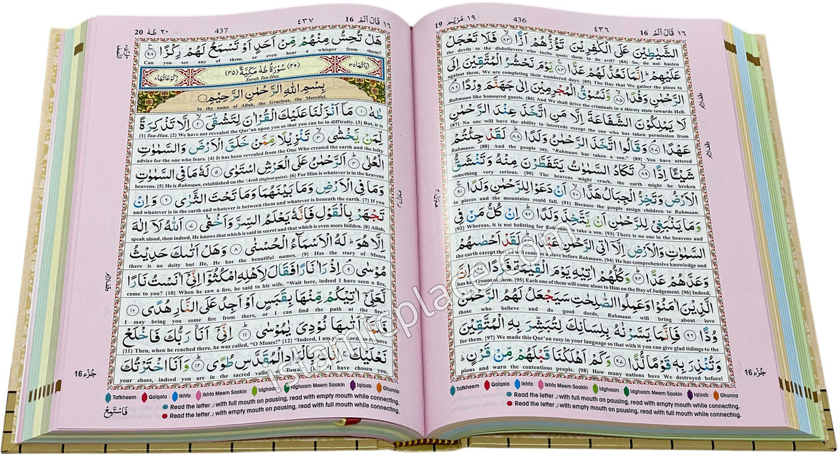 The Holy Quran Color Coded Tajweed Rules - Line by Line Arabic with English Translation (7.5" x 10")