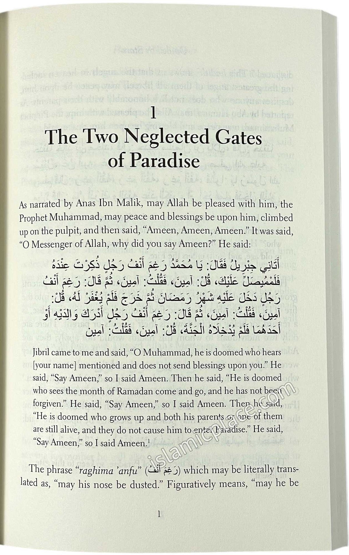 Guided by Stars - The Benefits of Honoring Parents