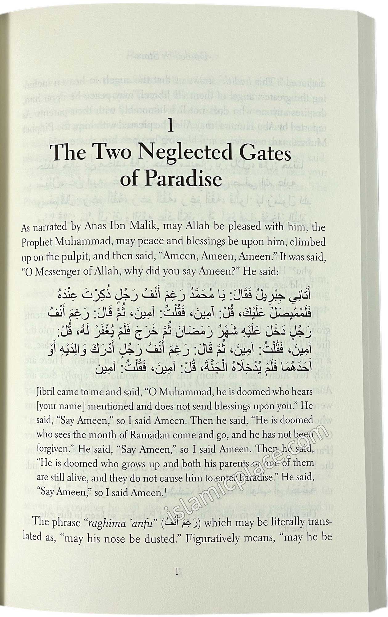 Guided by Stars - The Benefits of Honoring Parents