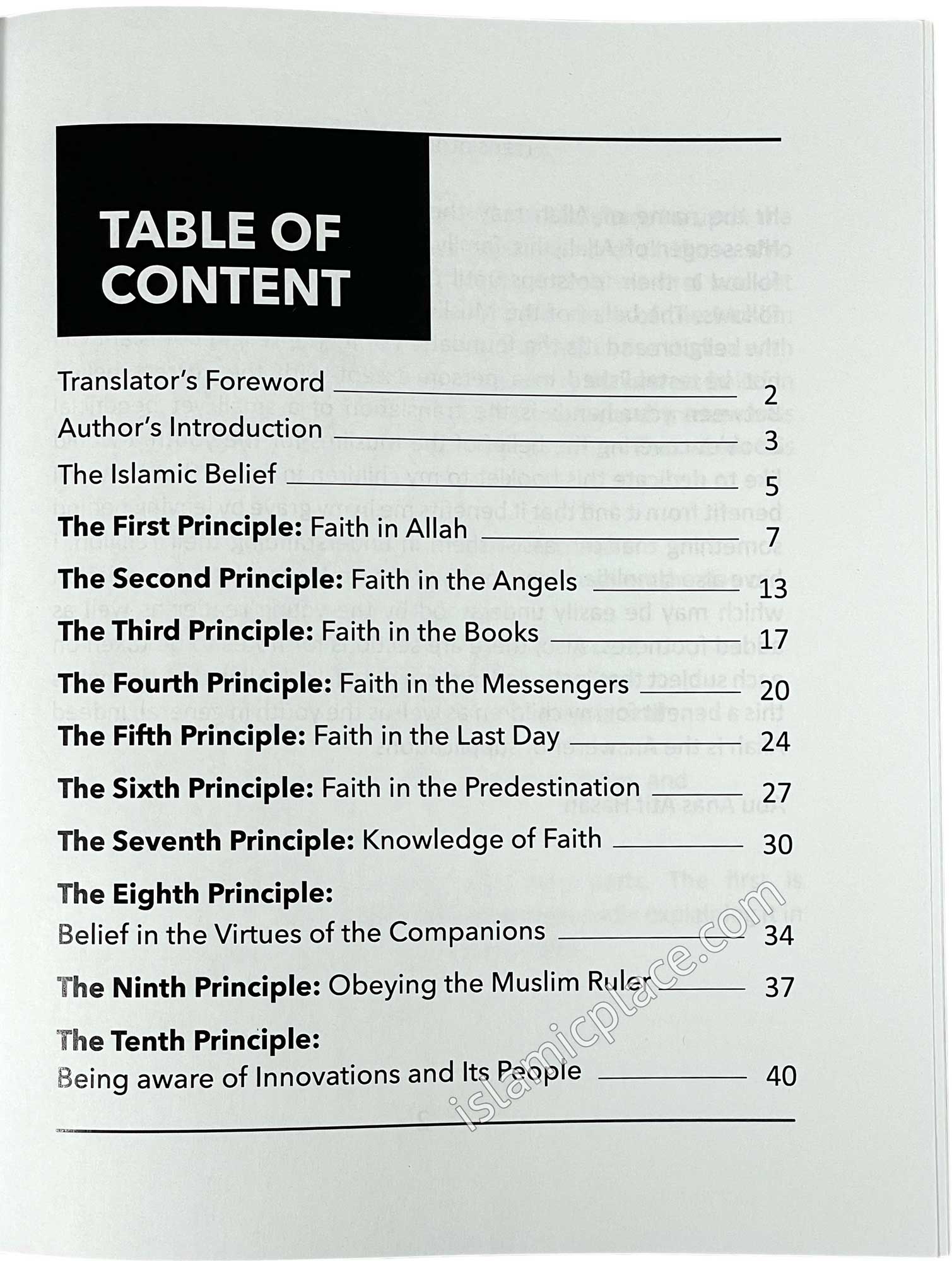 My Belief is My Salvation