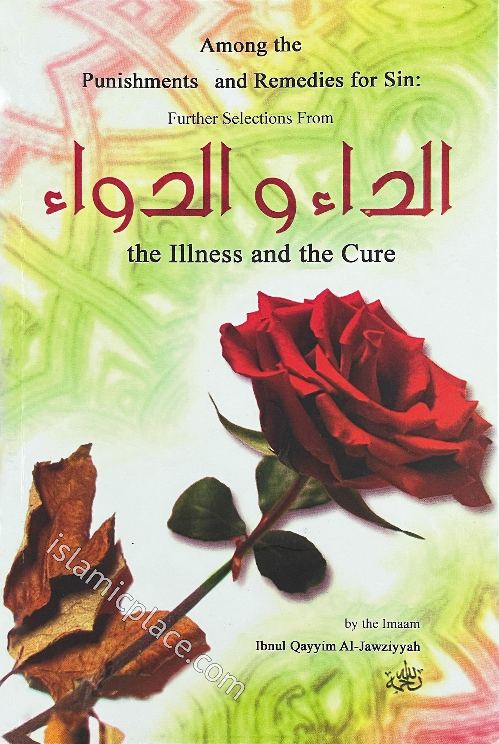 Among the Punishments and Remedies for Sin: Further Selections from the Illness and the Cure (ad-Daa wad-Dawaa)