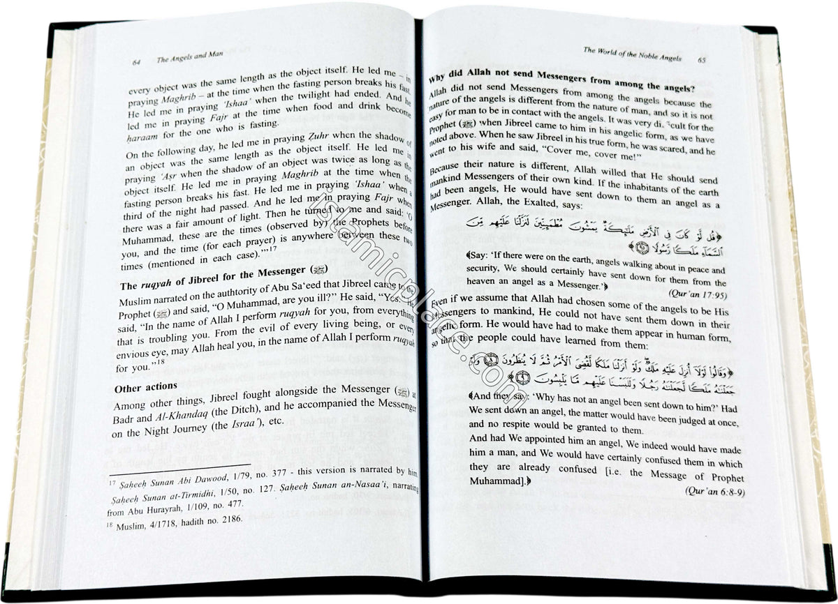 The World of the Noble Angels - Islamic Creed Series