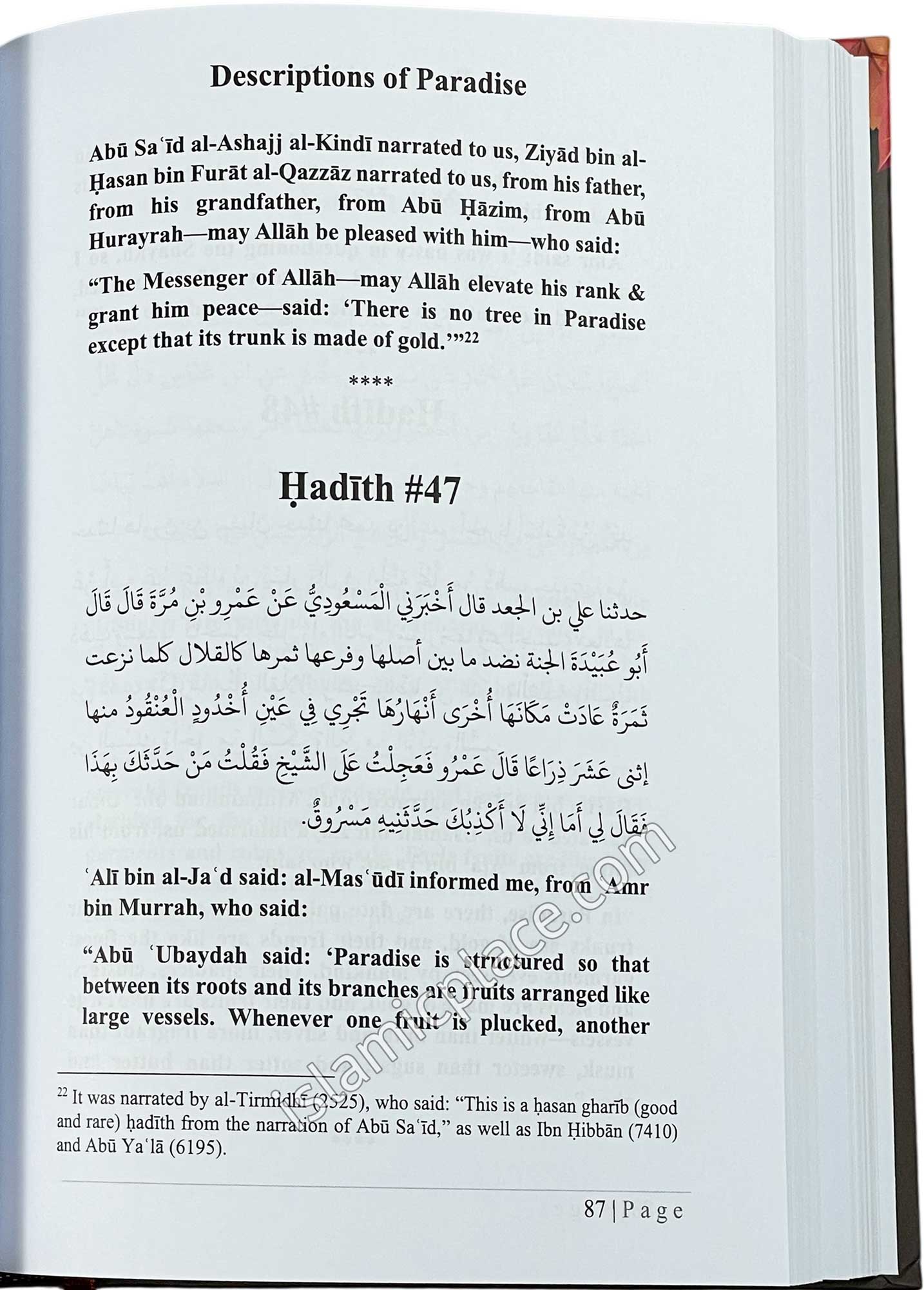 Descriptions of Paradise by Ibn Abi Dunya