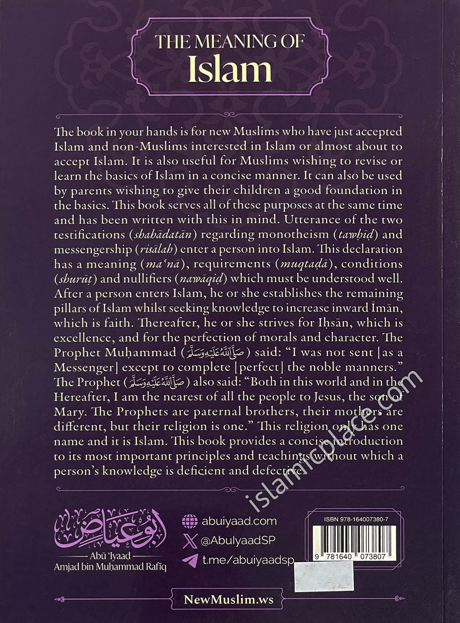 The Meaning of Islam - A Brief Explanation of the Most Important Principles and Teachings by Abu 'Iyaad