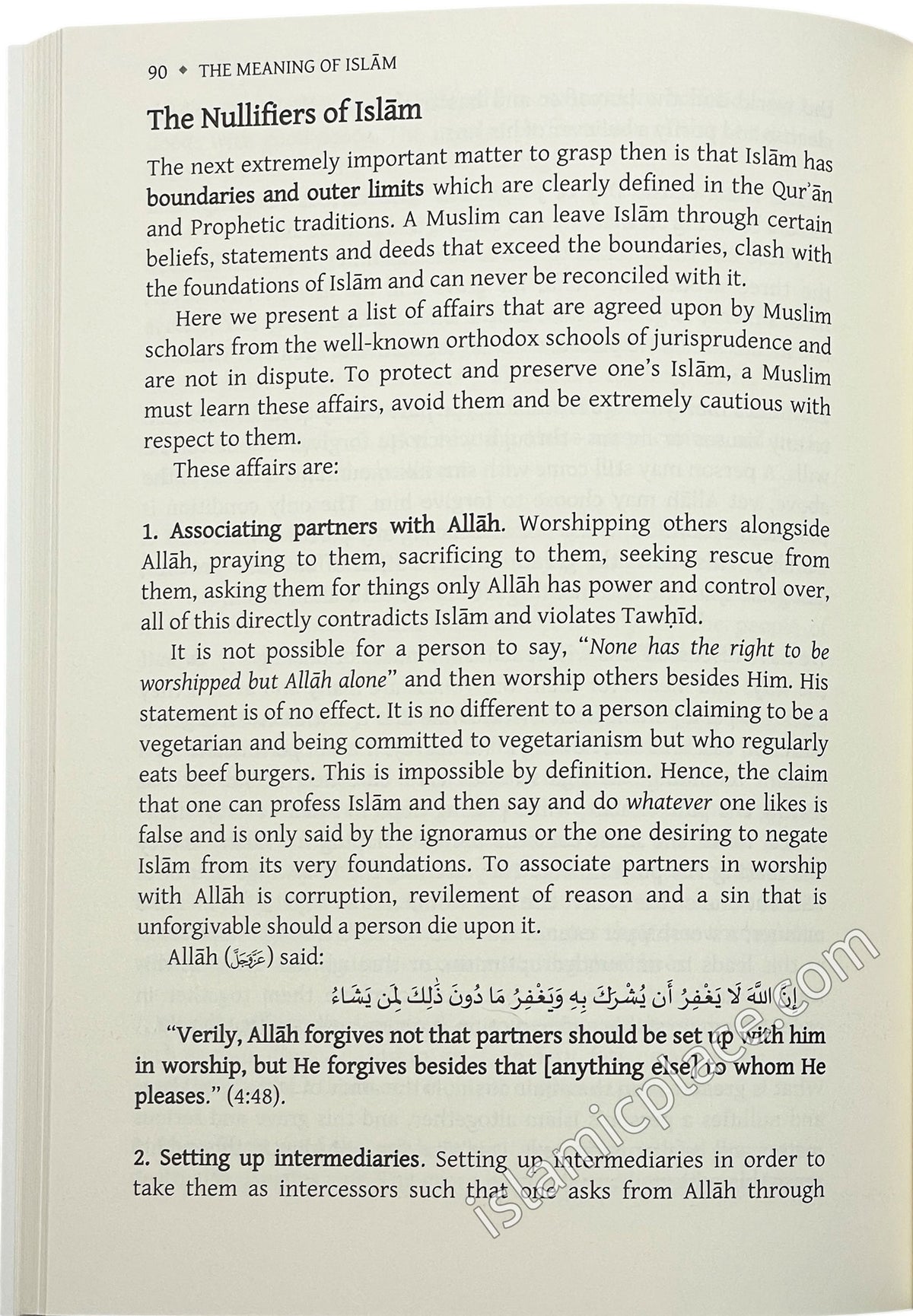 The Meaning of Islam - A Brief Explanation of the Most Important Principles and Teachings by Abu 'Iyaad