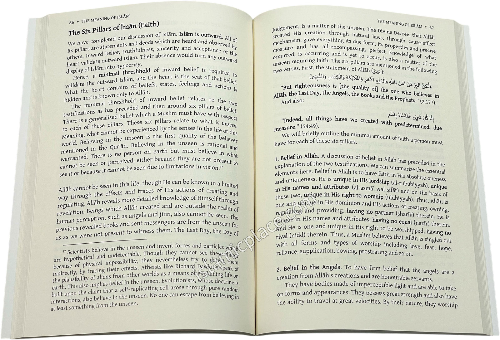 The Meaning of Islam - A Brief Explanation of the Most Important Principles and Teachings by Abu 'Iyaad