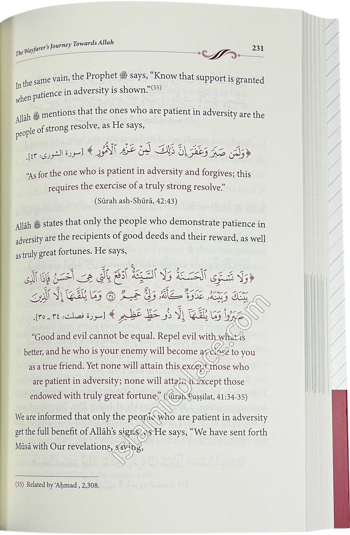 The Wayfarer's Journey Towards Allah - An Abridgement of Madarij Al-Salikin