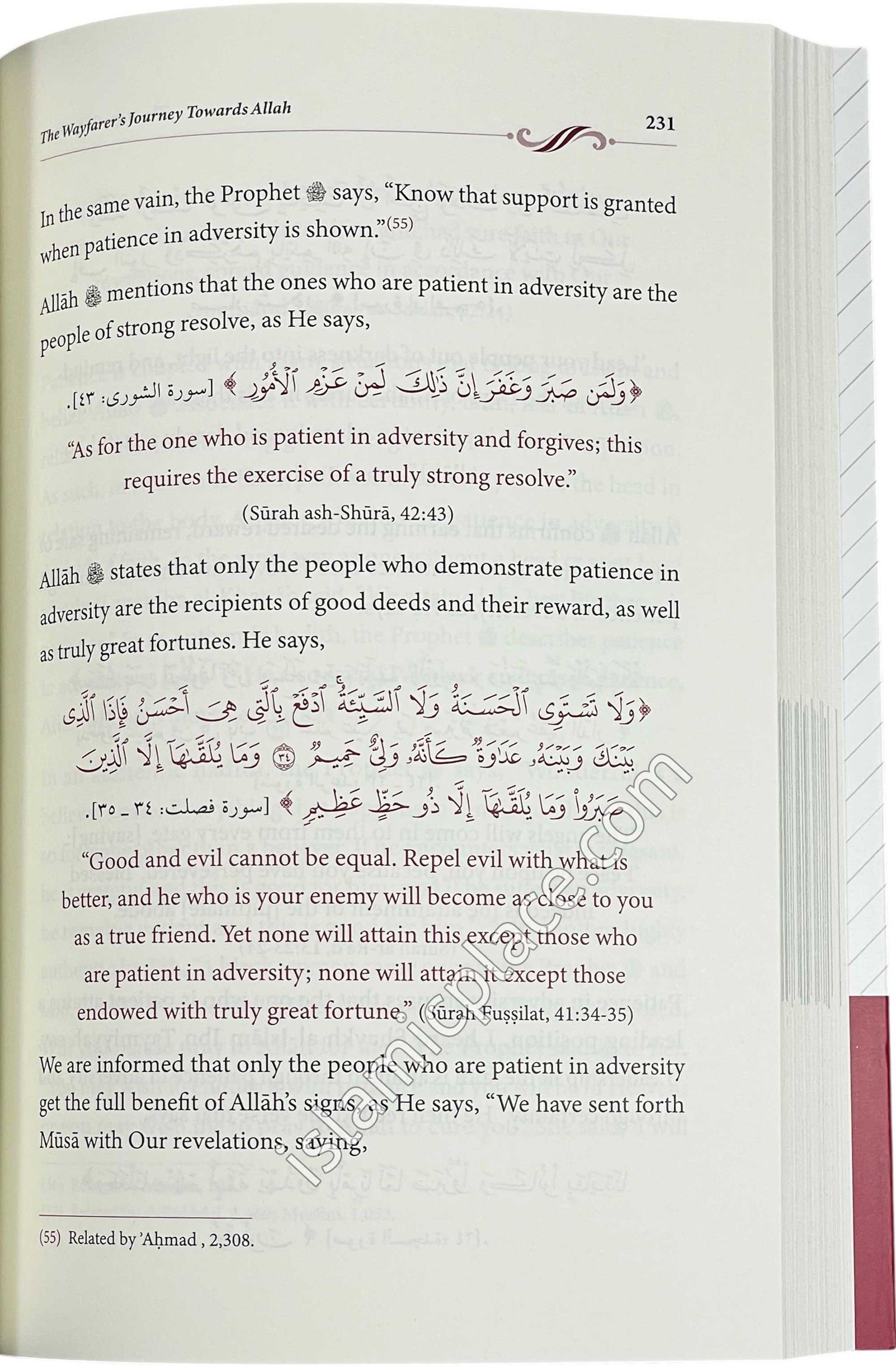 The Wayfarer's Journey Towards Allah - An Abridgement of Madarij Al-Salikin