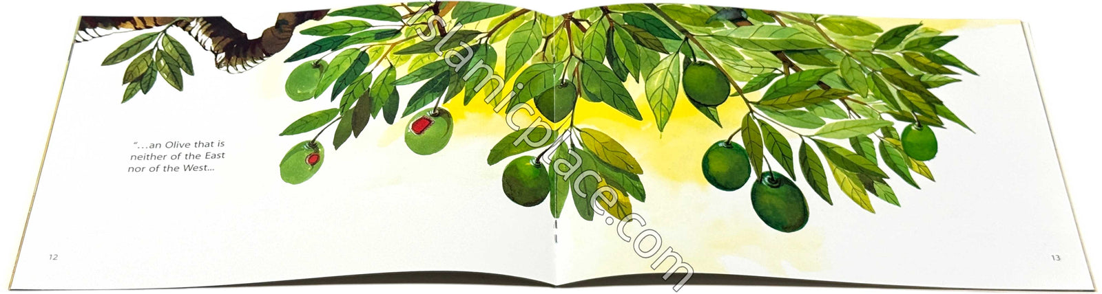 The Light of Allah - Quran Stories for Little Hearts