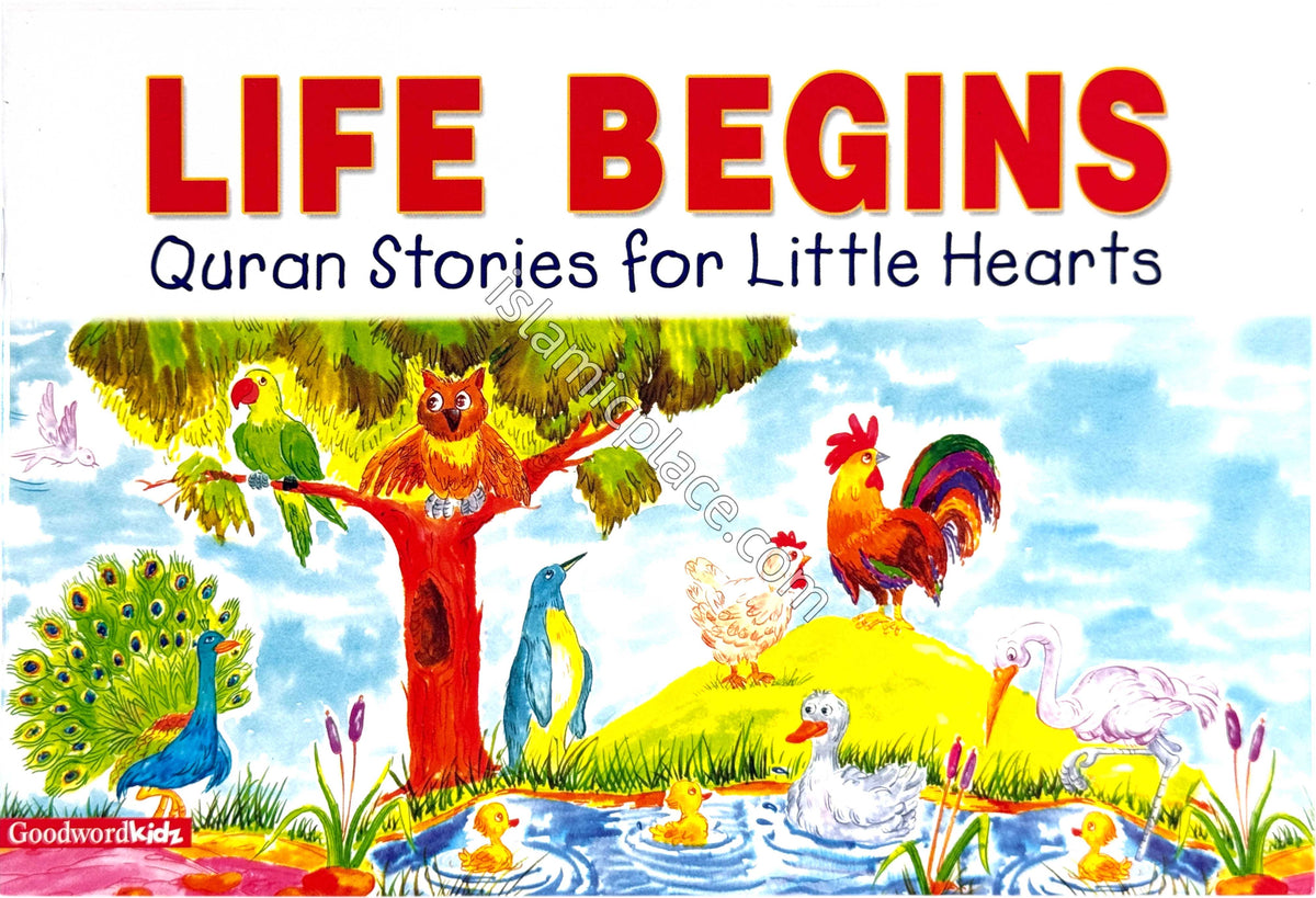 Life Begins - Quran Stories for Little Hearts