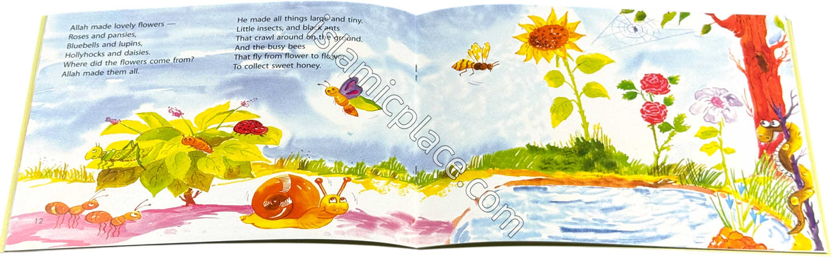 Life Begins - Quran Stories for Little Hearts