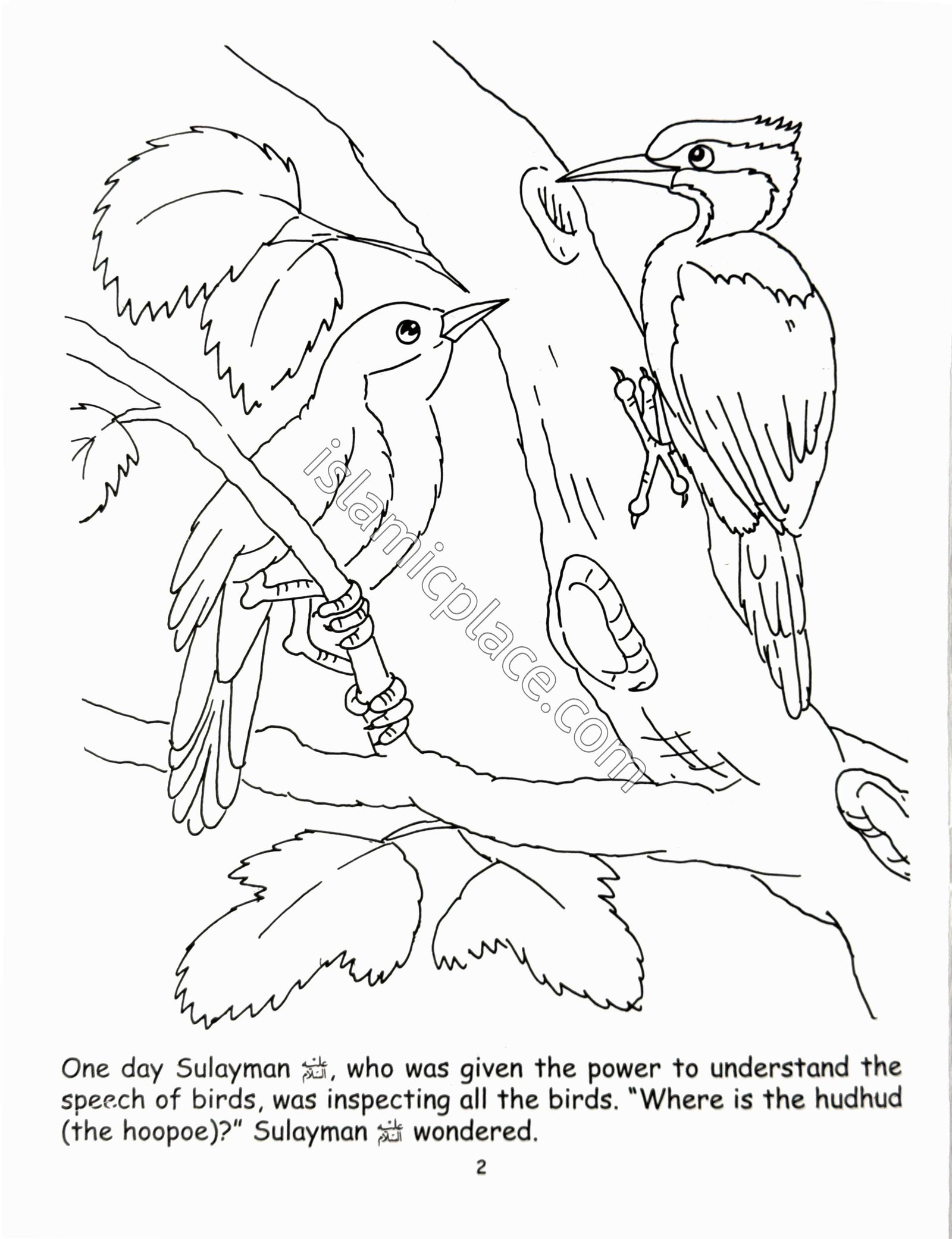 The Queen and the Bird (Coloring Book) Children's Stories from the Quran