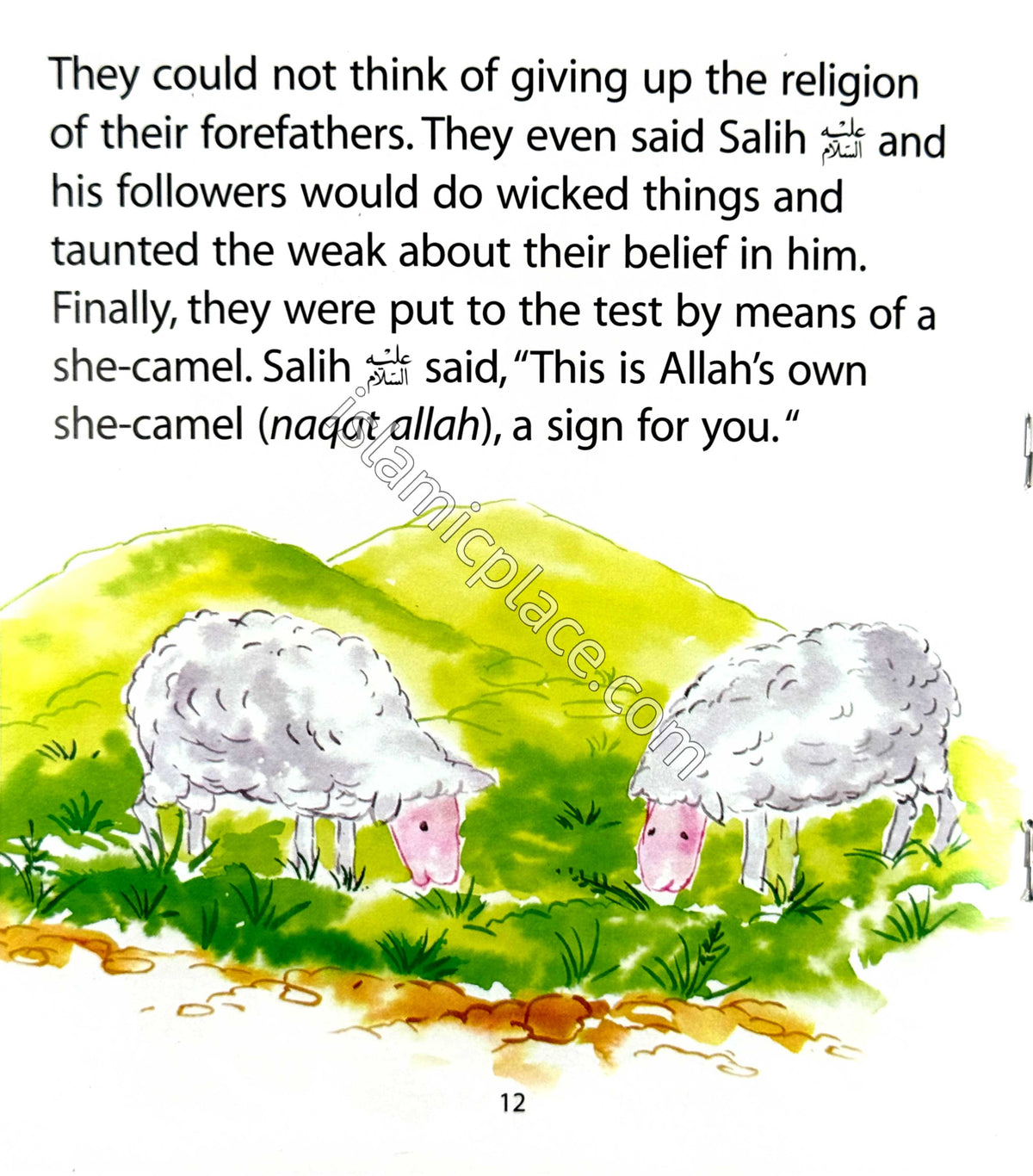 The Camel and the Evil People - Quran Stories for Young Readers
