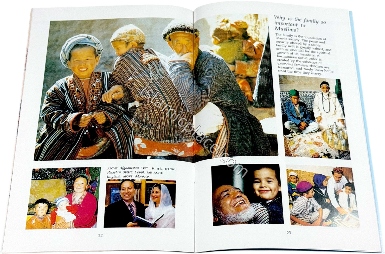 Understanding Islam and the Muslims