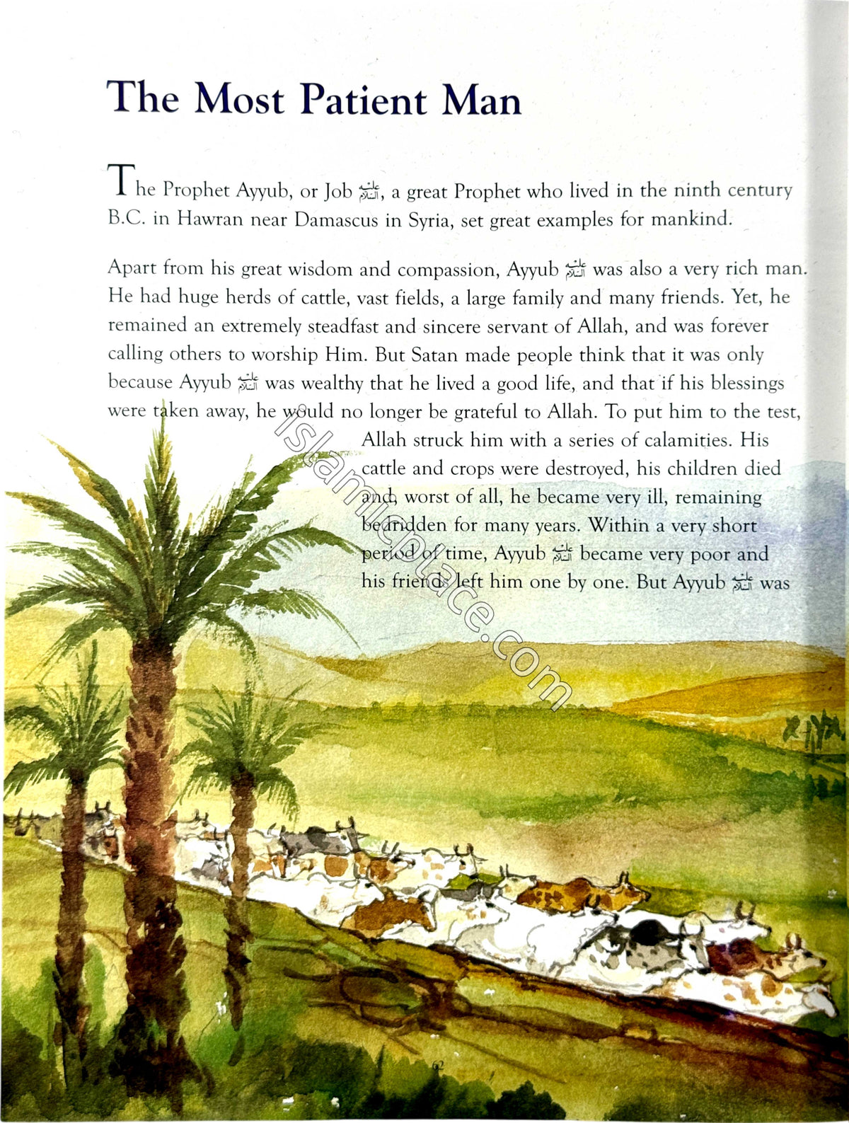 The Greatest Stories from the Quran (Paperback)