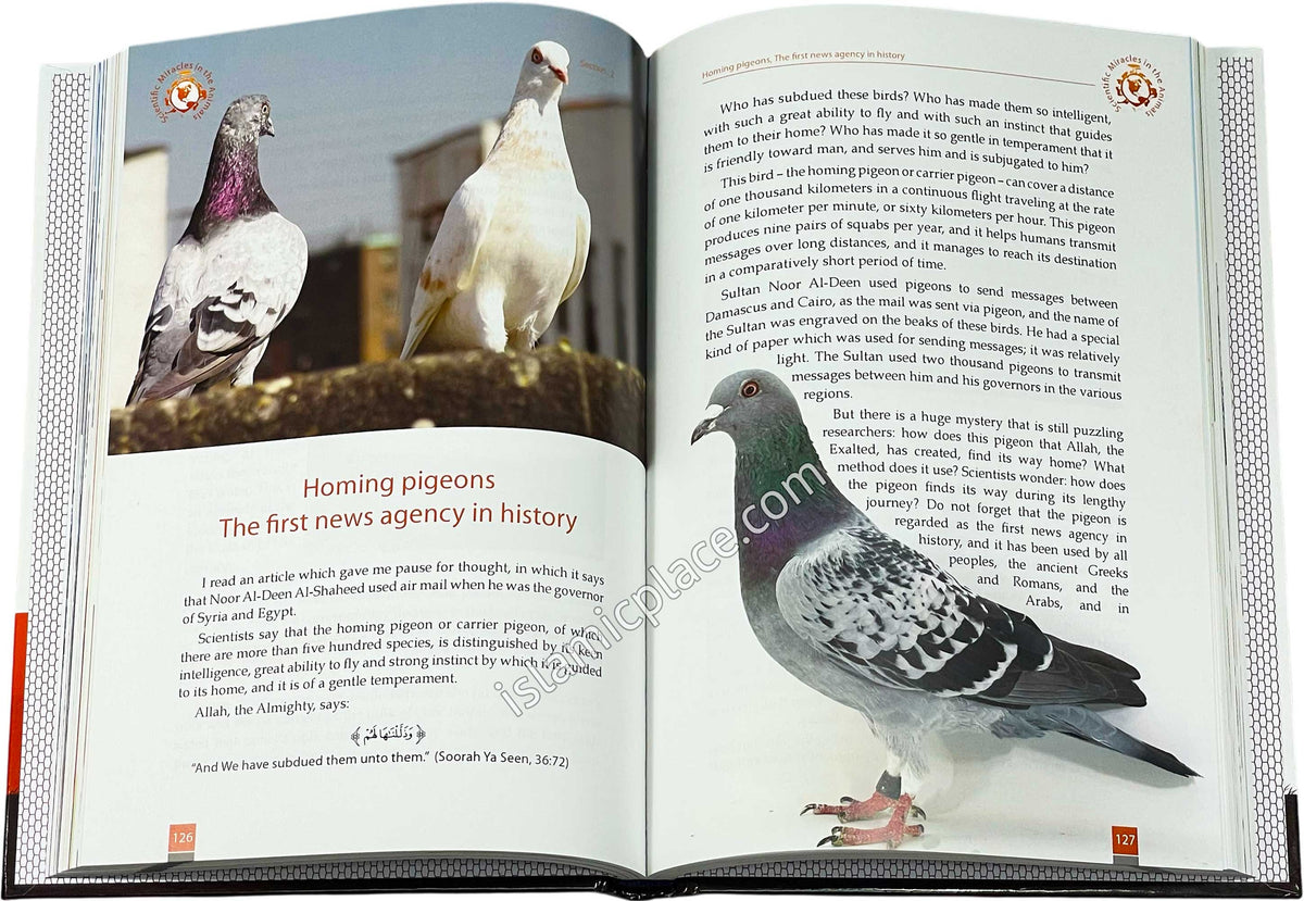 Scientific Miracles in Oceans and Animals