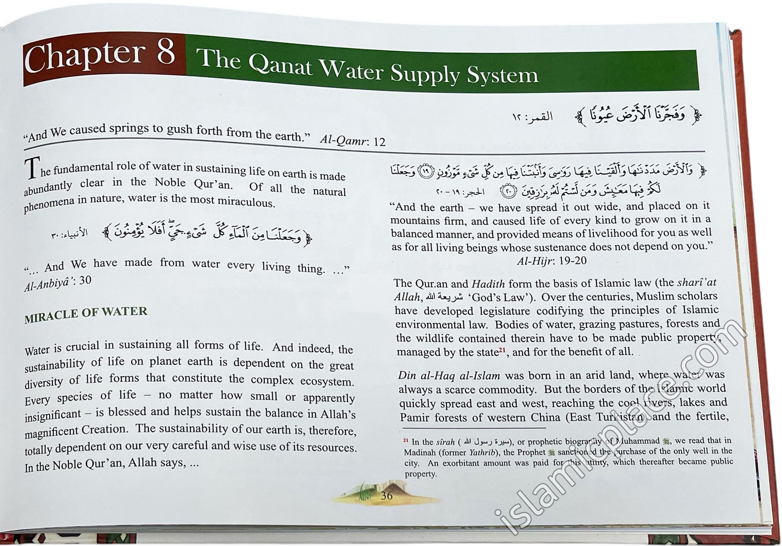 Green Muslims: The True Custodians of the Earth