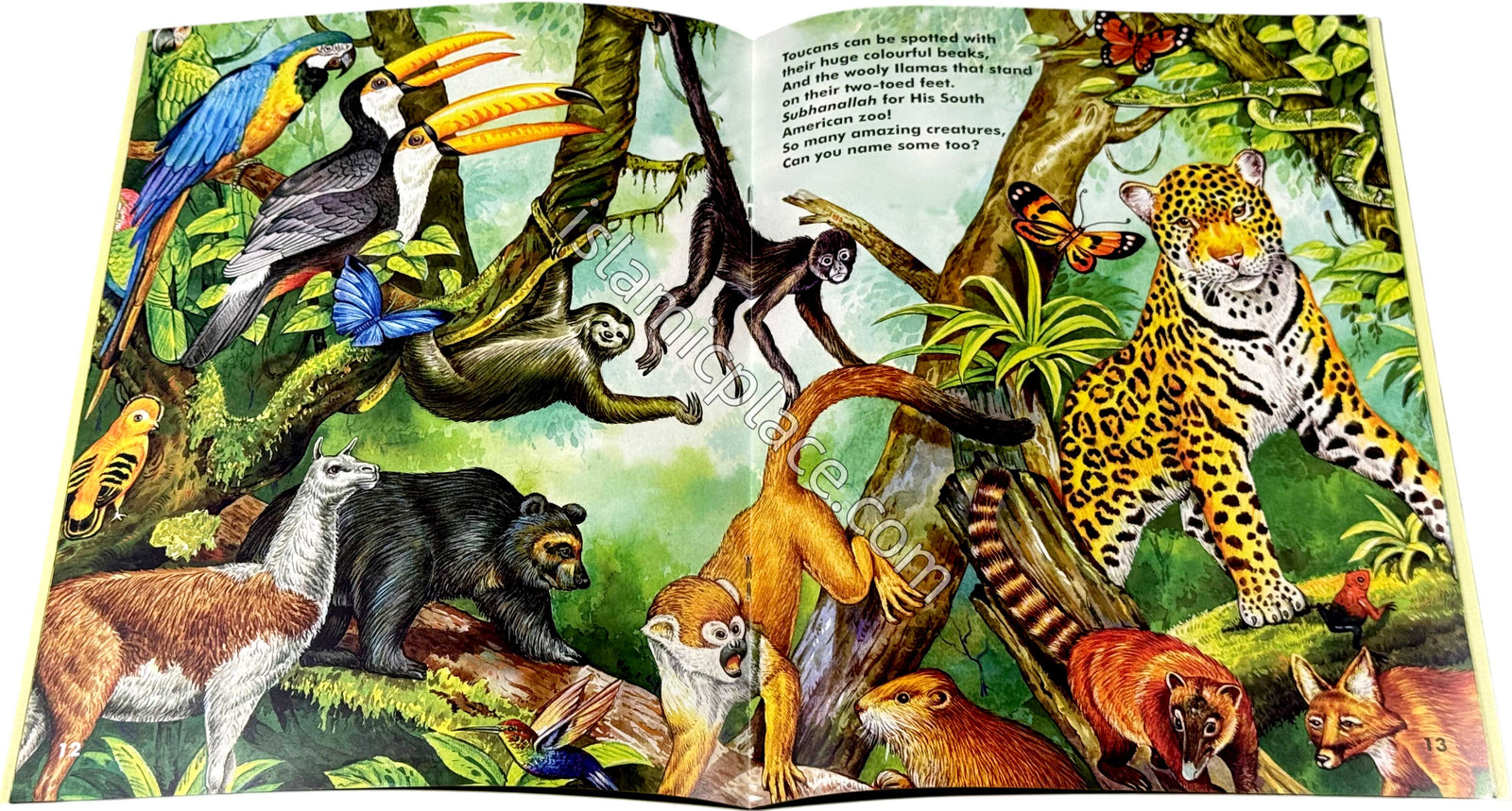 Allah's Zoo