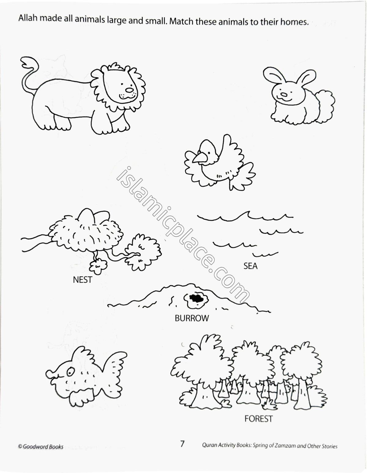 The Spring of Zamzam and other stories - Quran Activity Books - Fun to color and do