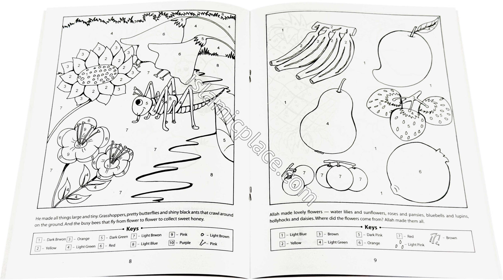Allah Made the Sun and the Moon - Quran Story Color by Numbers